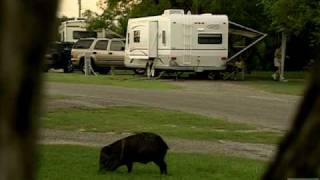 Lake Corpus Christi State Park Texas [upl. by Buchbinder]