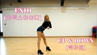 EXID 이엑스아이디  Up amp Down 위아래 Dance Cover [upl. by Victorie918]