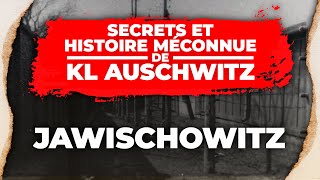 F KL AuschwitzJawischowitz  SECRETS du camp  lhistoire méconnue du KL AuschwitzBirkenau [upl. by Jere154]