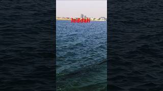 Best view of Jeddah city sea [upl. by Lrad]