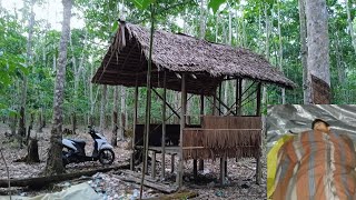 solo campingtidur dipondok kebun tengah hutan [upl. by Aicertal320]