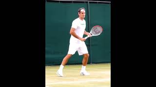 Roger Federer forehand practice in slow motion SlowMotion RogerFederer [upl. by Euqinaj]