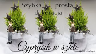 DEKORACJA ŚWIĄTECZNA  CYPRYSIK W SZKLE  BARDZO SZYBKA I PROSTA W WYKONANIU [upl. by Uaerraj]