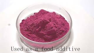 High Quality Beet Root Extract Betacyanins [upl. by Aihsia]