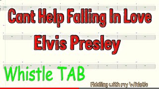 Cant Help Falling In Love Cover Elvis Presley  Tin Whistle Cover  Tab Tutorial [upl. by Amalberga]