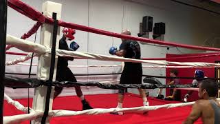 Greatmats Muay Thai Mats at Tysons City Boxing [upl. by Haimehen]