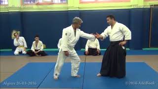 Gyaku hanmi katate dori  Kokyu nage [upl. by Rizan]