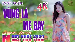 Vùng Lá Me Bay Người Tình Không Đến🛑 Nhạc Trữ Tình Hay Nhất 2024  Lk Bolero Nhạc Vàng Xưa Bất Hủ [upl. by Atilam]