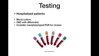 Pediatric Community Acquired Pneumonia [upl. by Wildee]