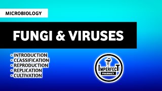 Fungi amp Viruses  Microbiology  Unit 3  B Pharm 3rd Semester  Imperfect Pharmacy [upl. by Trinette]