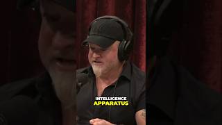 Luis Elizondo and Joe Rogan Shocking Intelligence Secrets Spying on Americans Exposed [upl. by Anelaf363]