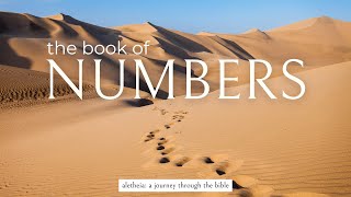 EP 148 NUMBERS 14  ALETHEIA Unveiling Truth  Journey through the Bible [upl. by Anahpos559]