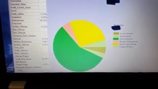 GEDMatch Heritage Result of Asian Ancestry [upl. by Isla349]