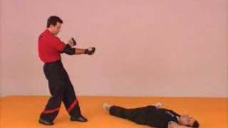 Wing Tsun  Victor Gutierrez 16 [upl. by Riplex]