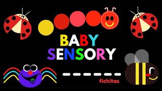 Estimulación Visual y Auditiva para Bebes 5  Baby Sensory Infant visual stimulation [upl. by Champagne559]