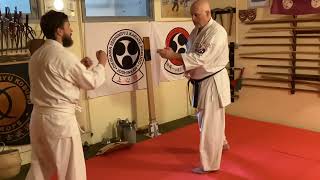 Seiunchin kata of Okinawa Isshinryu Karate bunkaioyo  5 [upl. by Sido393]