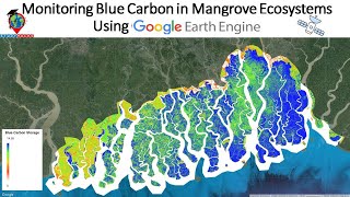 Monitoring Blue Carbon in Mangrove Ecosystems Using Remote Sensing in Google Earth Engine [upl. by Imre270]