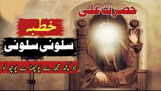 Salooni Salooni Hazrat Ali as Ka Khutba  Jo Kuch muj Se Pochna He Poch Lo [upl. by Werdnael498]