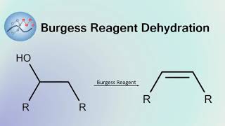 Burgess Reagent Dehydration Mechanism  Organic Chemistry [upl. by Corella710]