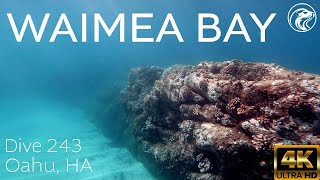 SCUBA How To Dive Waimea Bay  North Shore Oahu 2024  4k [upl. by Ines]