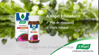 AVogel Echinaforce  Immunité et résistance naturelle [upl. by Ihc]