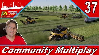 LS22 NFMarsch Community Multiplayer 37 Vermehrungsgras bringt gute Einnahme farmingsimulator22 [upl. by Oguh]