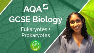 AQA GCSE Biology Eukaryotes and Prokaryotes [upl. by Trebleda]