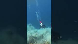 Moment Rare 72 Magnitude Earthquake Strikes Underwater  10 News First [upl. by Kadner]