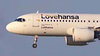 Lovehansa A320 landing at Frankfurt Airport from Bilbao lufthansa planespotting love bilbao [upl. by Ueihttam]