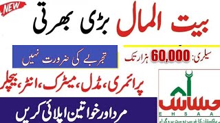 Punjab BaitUlMaal Jobs 2024  How to Apply online for baitUlMaal Jobs 2024 [upl. by Delainey]