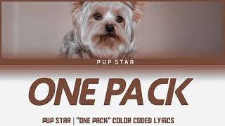 PUP STAR  quotOne Packquot color coded lyrics [upl. by Allemrac]