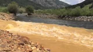 Animas river contamination [upl. by Leda]