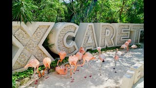 XCARET PARK  Mexicos Majestic Paradise [upl. by Hanaj284]