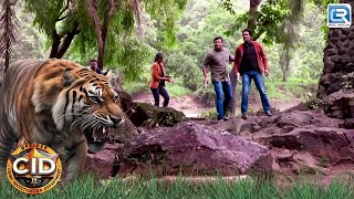 Team CID के सामने आया जब ये आदमखोर जंगली जानवर  Crime Investigation Department  Latest Episode HD [upl. by Fields223]