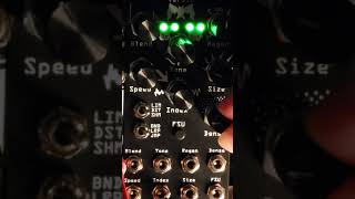 check out the BatVerb Desmodus Versio electronicmusic synth sounddesign eurorackmodular [upl. by Dorothy]