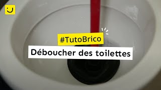 Déboucher des toilettes [upl. by Teufert875]