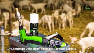 Utilisation de lécorneur Arkos Ref 145 pour caprins  Express Farming [upl. by Cleo]