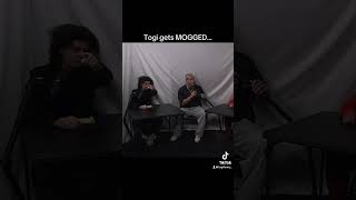 Togi gets mogged [upl. by Priebe]