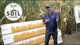 Soil School Building a corn management strategy that fits your farm [upl. by Louanna26]