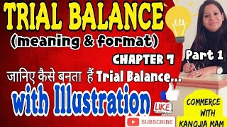 Trial balance  concept and example problem  accountancy class 11 Bcom  by kanojia mam [upl. by Trant690]