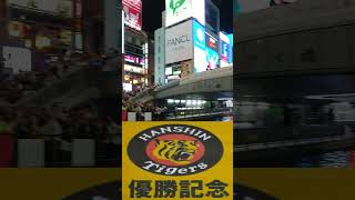 祝 阪神 タイガース 優勝 18年ぶり 道頓堀 2023 Hanshin Tigers 1 shorts [upl. by Bluma972]