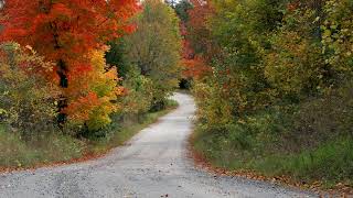 October 9 2024 Lanark County Council and Committee Meeting [upl. by Ranson94]