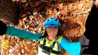 Lowell Dracut Forest with Fall Leaves Mountain Biking [upl. by Luci]