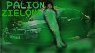 PALION ZIELONE 6 OFFICAL MUSIC VIDEO [upl. by Ennairek]