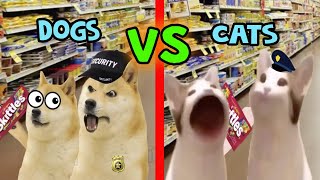 Skittles MEME Doge VS Pop Cat [upl. by Eyaj]