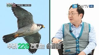 토크멘터리 전쟁史 101부 100회 특집미래전쟁2 [upl. by Aneloj555]