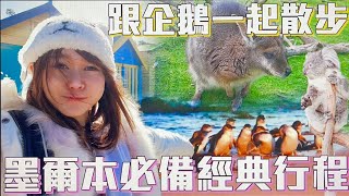 【澳洲墨爾本VLOG】墨爾本必備行程，企鵝島、彩虹小屋、野生動物園一日遊｜Yui ♡ [upl. by Neik227]