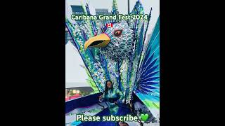 Caribana Fest Toronto 2024 💚🇨🇦caribana toronto torontocanada festivalvibes [upl. by Sihunn]