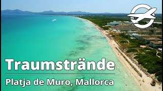 Platja de Muro ☀️ Die schönsten Strände auf Mallorca ☀️ [upl. by Aneekas17]