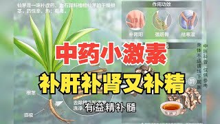 中医教你“中药小激素”，补肝补肾又补精，效果好还没有副作用 邹勇讲经方！ [upl. by Kceb691]